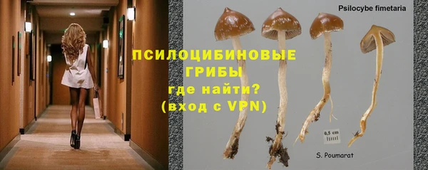 дживик Новозыбков