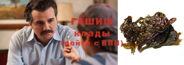 индика Кострома