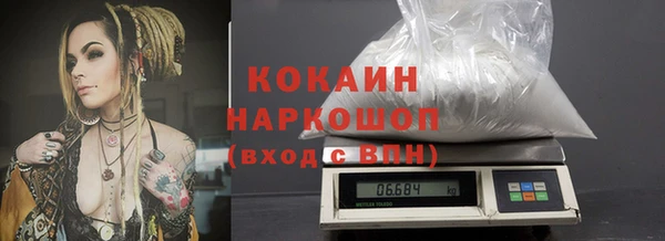 дживик Новозыбков