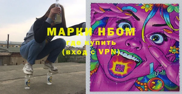дживик Новозыбков