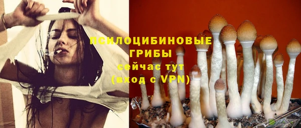 экстази Новодвинск
