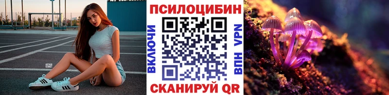 как найти закладки  Майкоп  Псилоцибиновые грибы MAGIC MUSHROOMS 