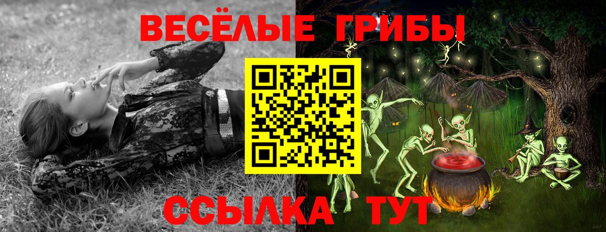 Галлюциногенные грибы Psilocybine cubensis Майкоп